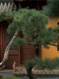 YITUYU艺图语 2025.01.12 山寺踏秋 郑钰熙(8)